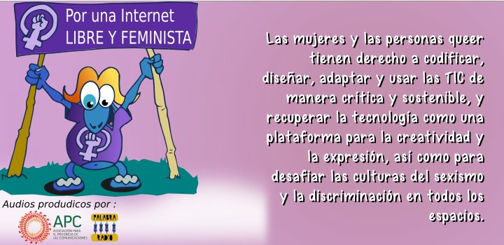 Principios Feministas para Internet